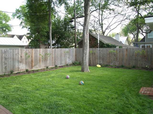 #1 - Back Yard